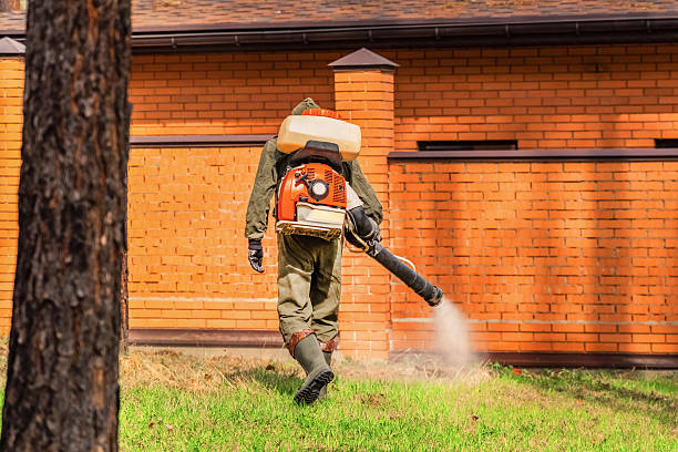 Cockroach Follow-Up and Monitoring in Euless